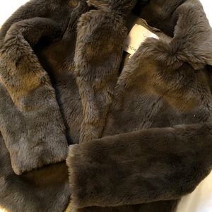 Aritzia Brown Fur Coat